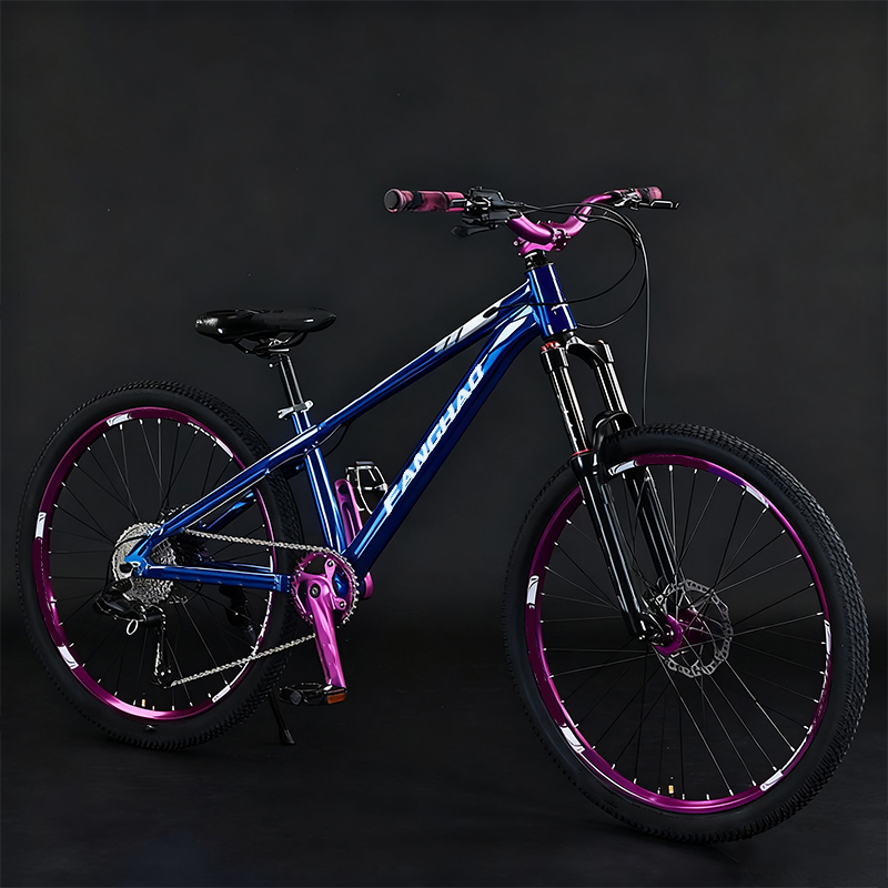 Dirt Jump 26 Inch Lightweight  - Mountain Biking Jumps recension och pris